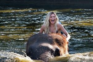 Elephant Wash, River Rafting and Ubud Vilage