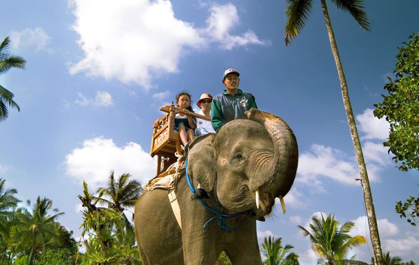 Mason Adventure Elephant Ride